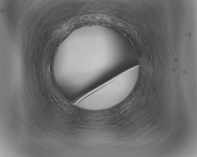 X0000080161489200612081014