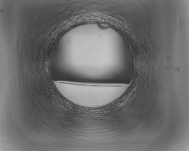 X0000080161490200612081014