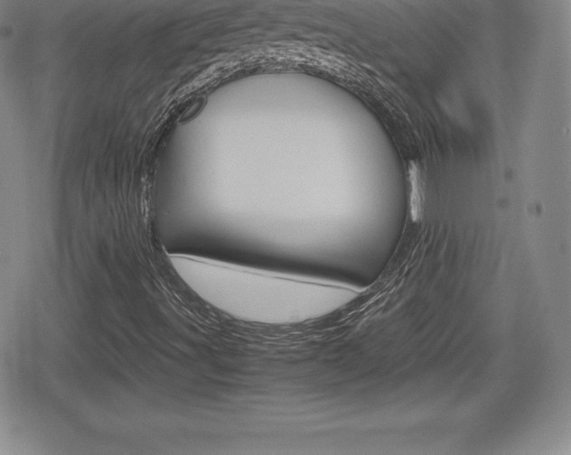 X0000080161491200612081014