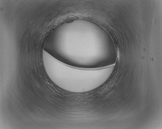 X0000080161492200612081014