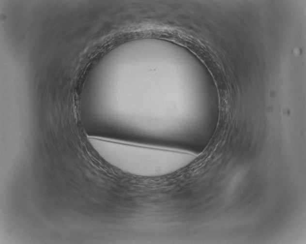 X0000080161493200612081014