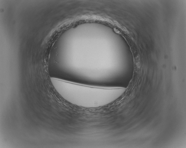 X0000080161495200612081014