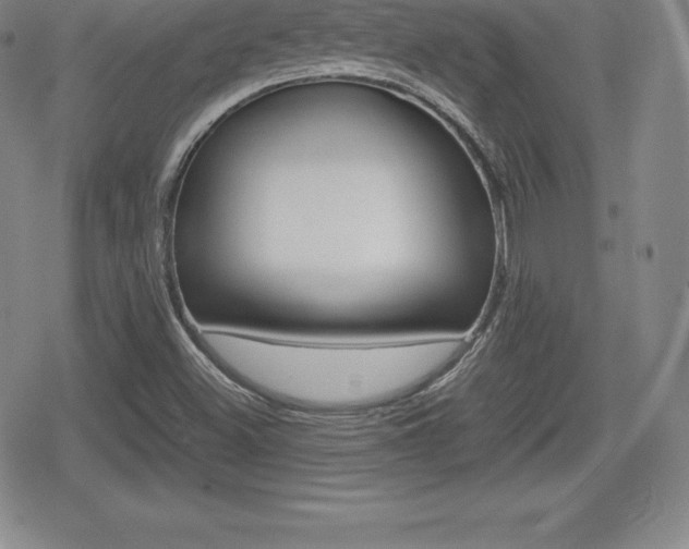 X0000080161500200612081014