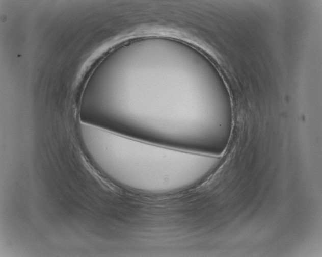 X0000080161507200612081014