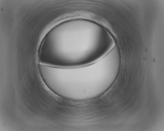 X0000080161516200612081014