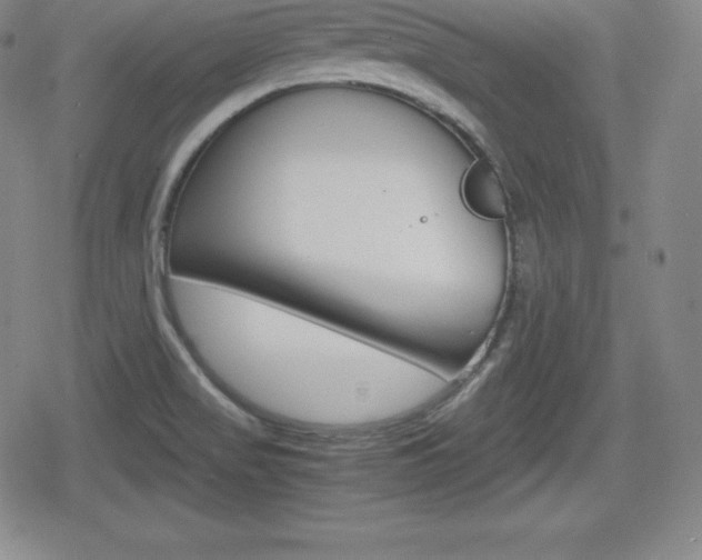 X0000080161517200612081014