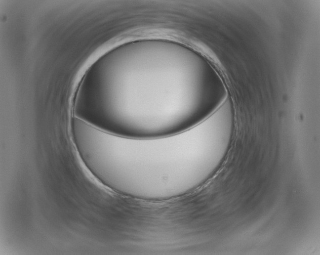 X0000080161528200612081014