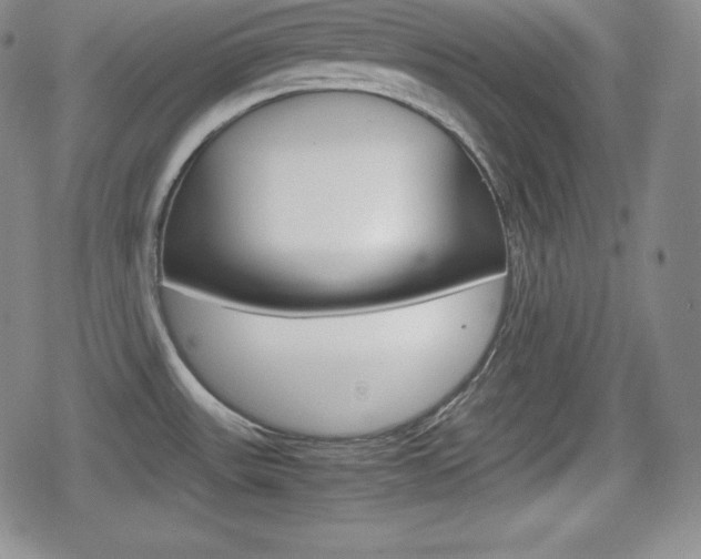 X0000080161531200612081015
