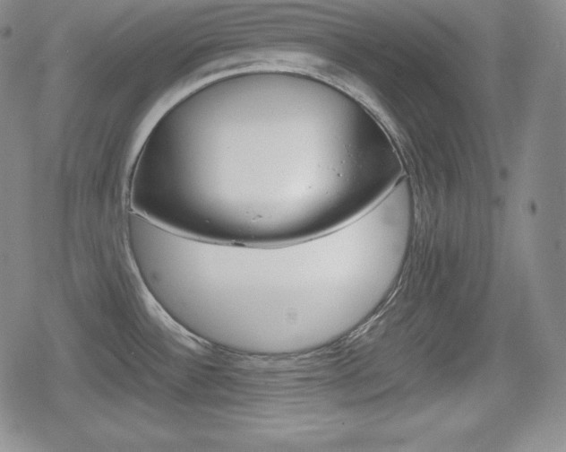X0000080161532200612081015