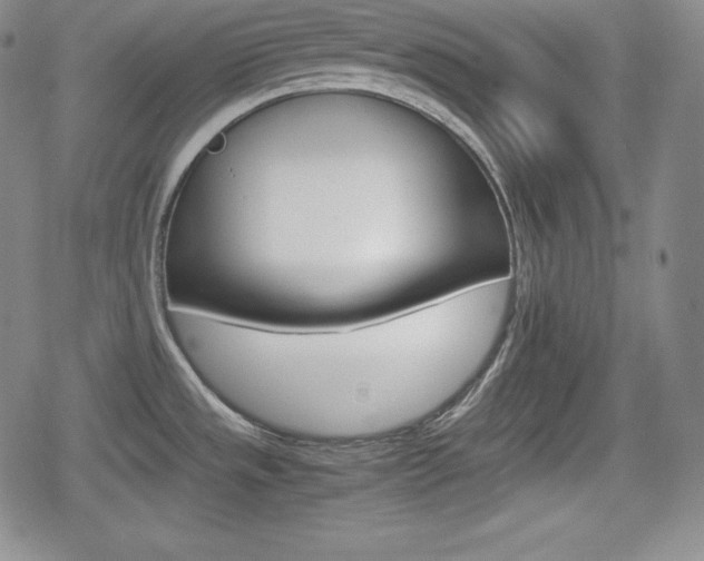 X0000080161533200612081015