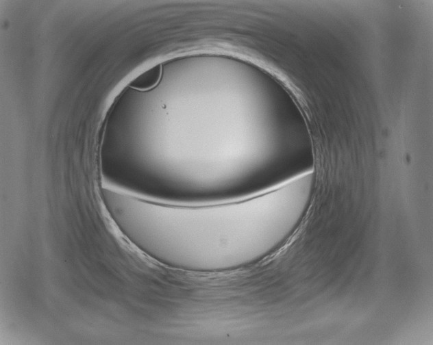 X0000080161534200612081015