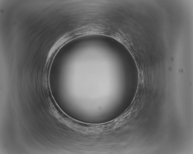 X0000080160004200612081347