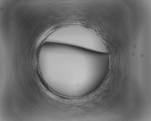 X0000080160005200612081347
