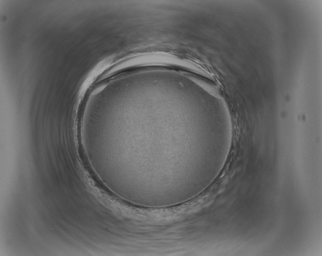 X0000080160006200612081347