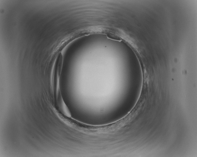 X0000080160013200612081347
