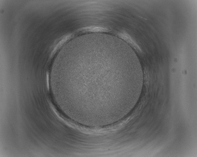 X0000080160014200612081347