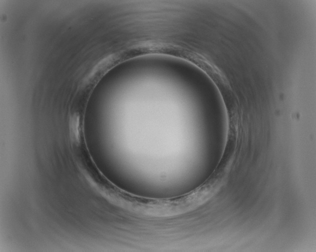 X0000080160024200612081346