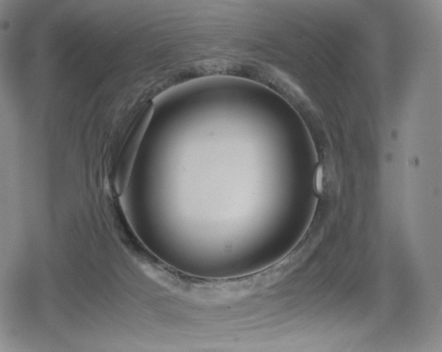 X0000080160025200612081346
