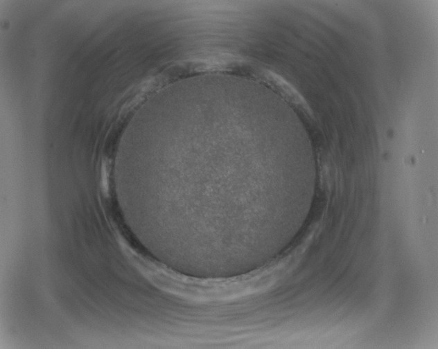 X0000080160026200612081346