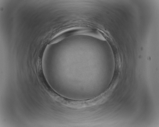 X0000080160029200612081346