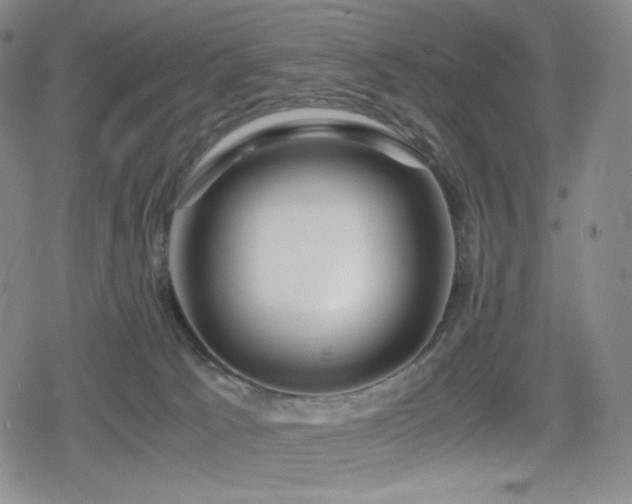X0000080160033200612081346