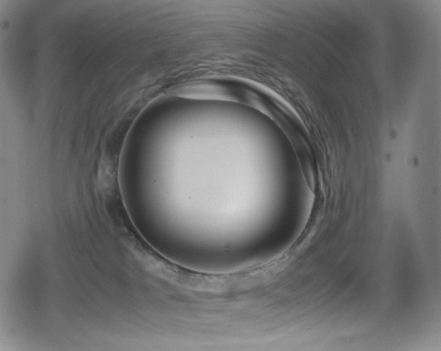 X0000080160037200612081346
