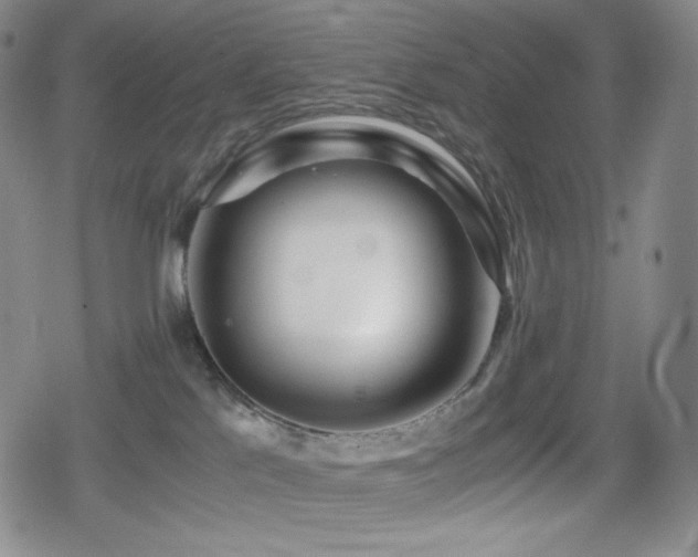 X0000080160041200612081346