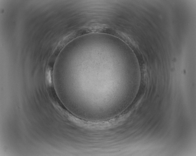 X0000080160042200612081346