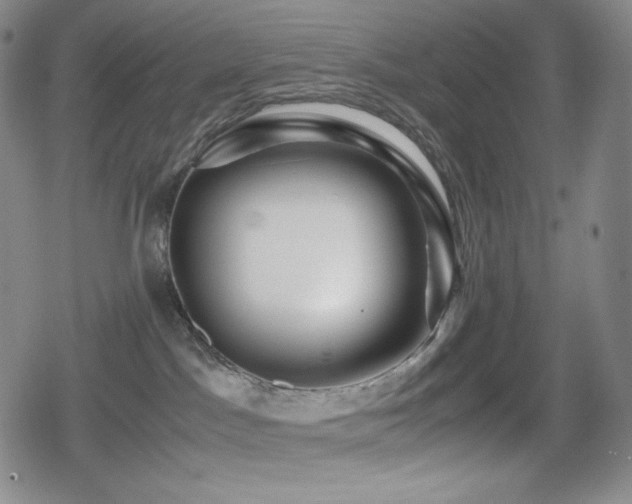 X0000080160045200612081346