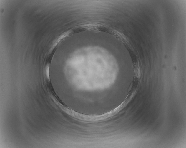 X0000080160047200612081346