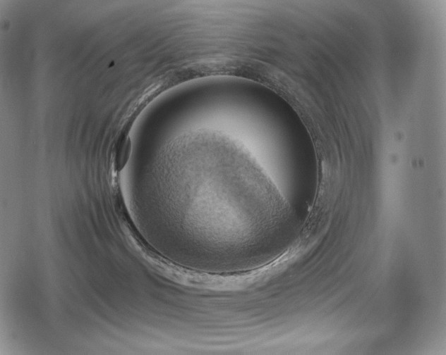 X0000080160048200612081346