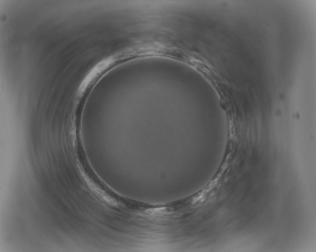 X0000080160054200612081345