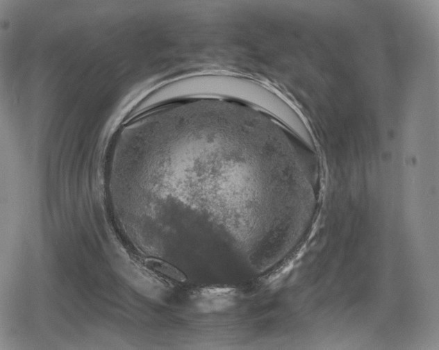 X0000080160055200612081345