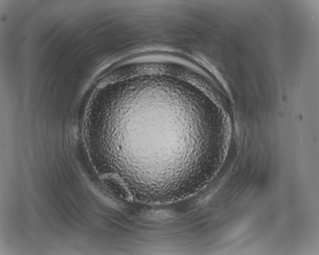 X0000080160063200612081346