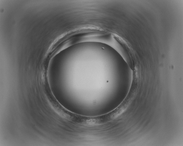 X0000080160064200612081346