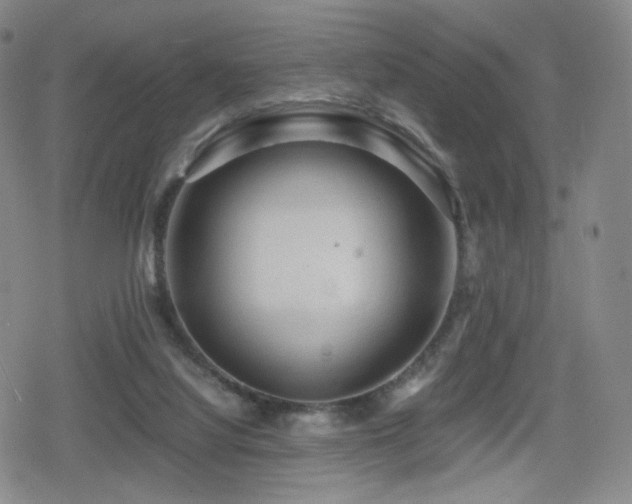 X0000080160068200612081346