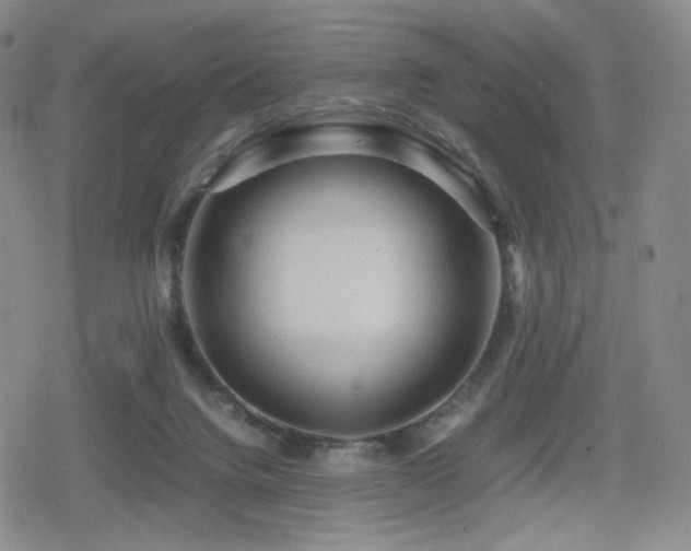X0000080160072200612081346