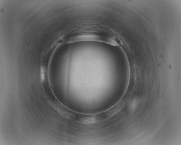 X0000080160075200612081346