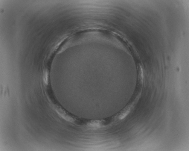 X0000080160076200612081346