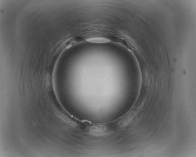 X0000080160077200612081346