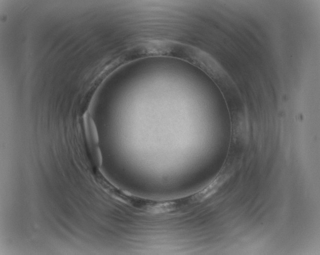 X0000080160078200612081346