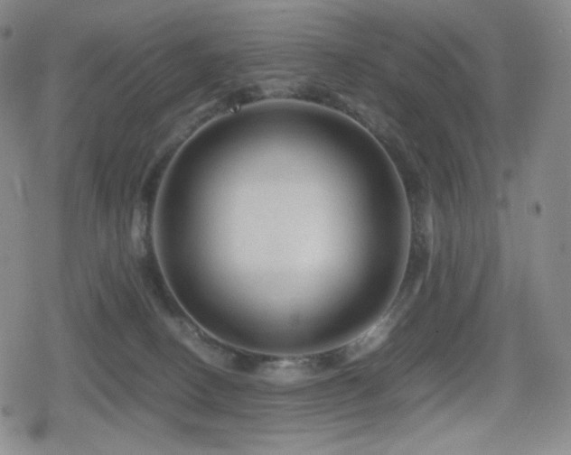 X0000080160082200612081346