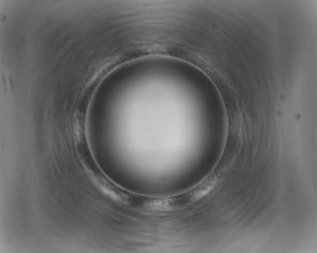 X0000080160084200612081346