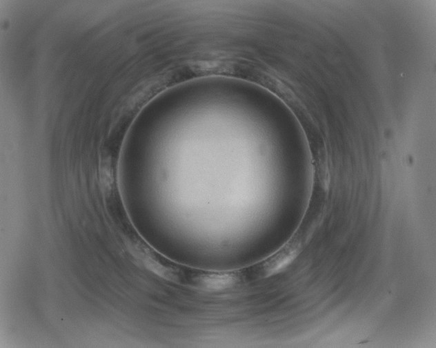 X0000080160085200612081346