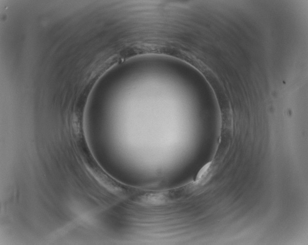 X0000080160086200612081346
