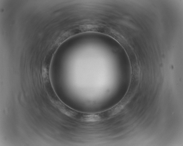 X0000080160087200612081346