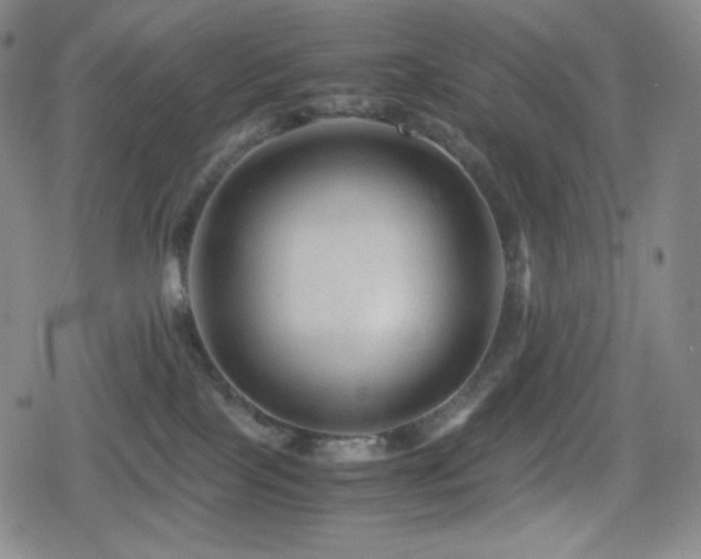 X0000080160089200612081346