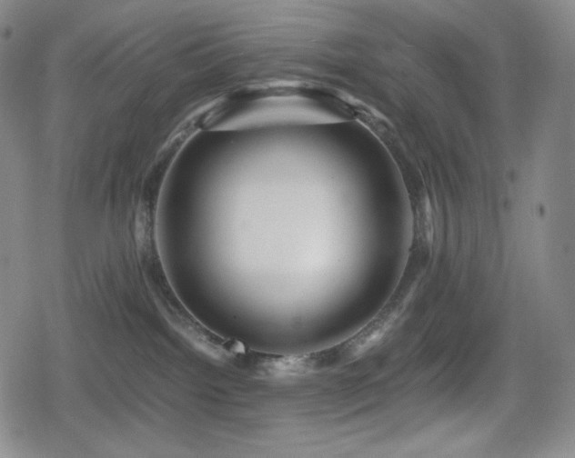 X0000080160092200612081346