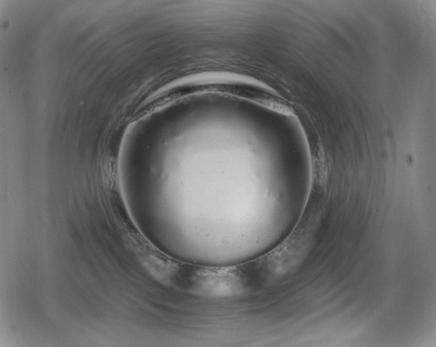 X0000080160093200612081346