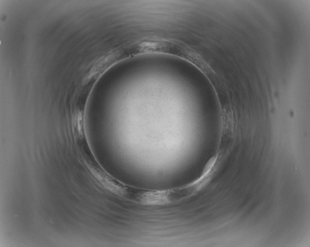 X0000080160094200612081346